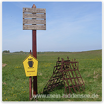 hiddensee