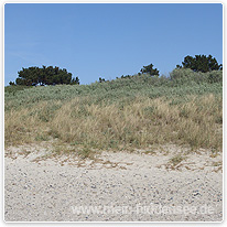 hiddensee hiddensee